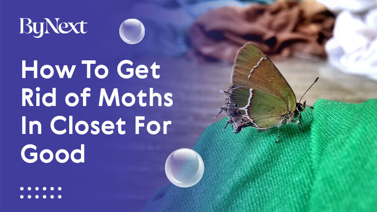 Get Rid of Moths: How To Eliminating Closet Infestations