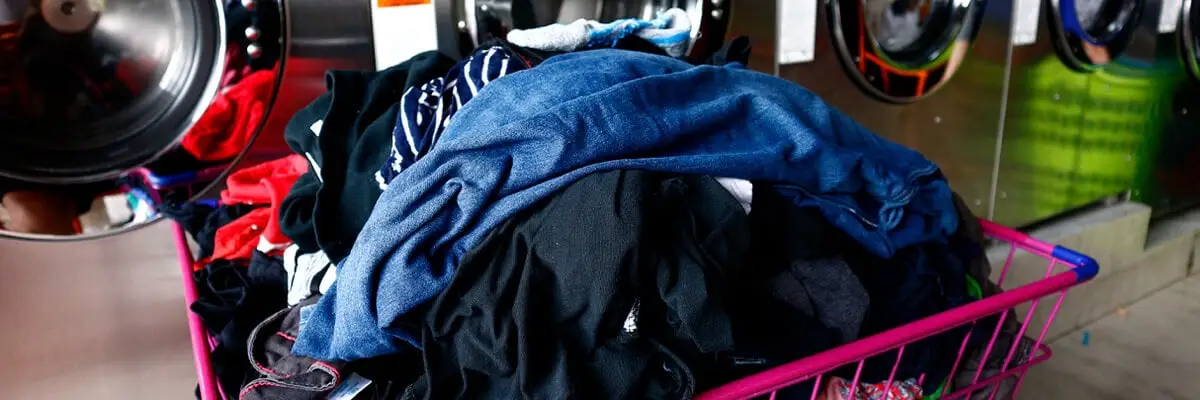 NYC Laundry Pickup Trends in 2026