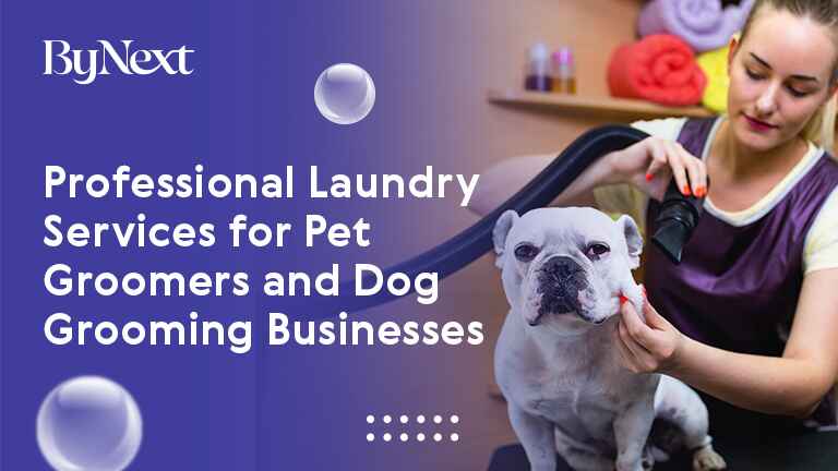 Commercial Laundry Services for Pet Groomers | ByNext